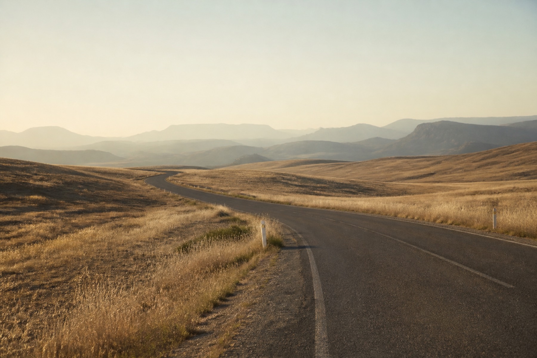 Empty summer road in bone and sage light, heat already in the air.